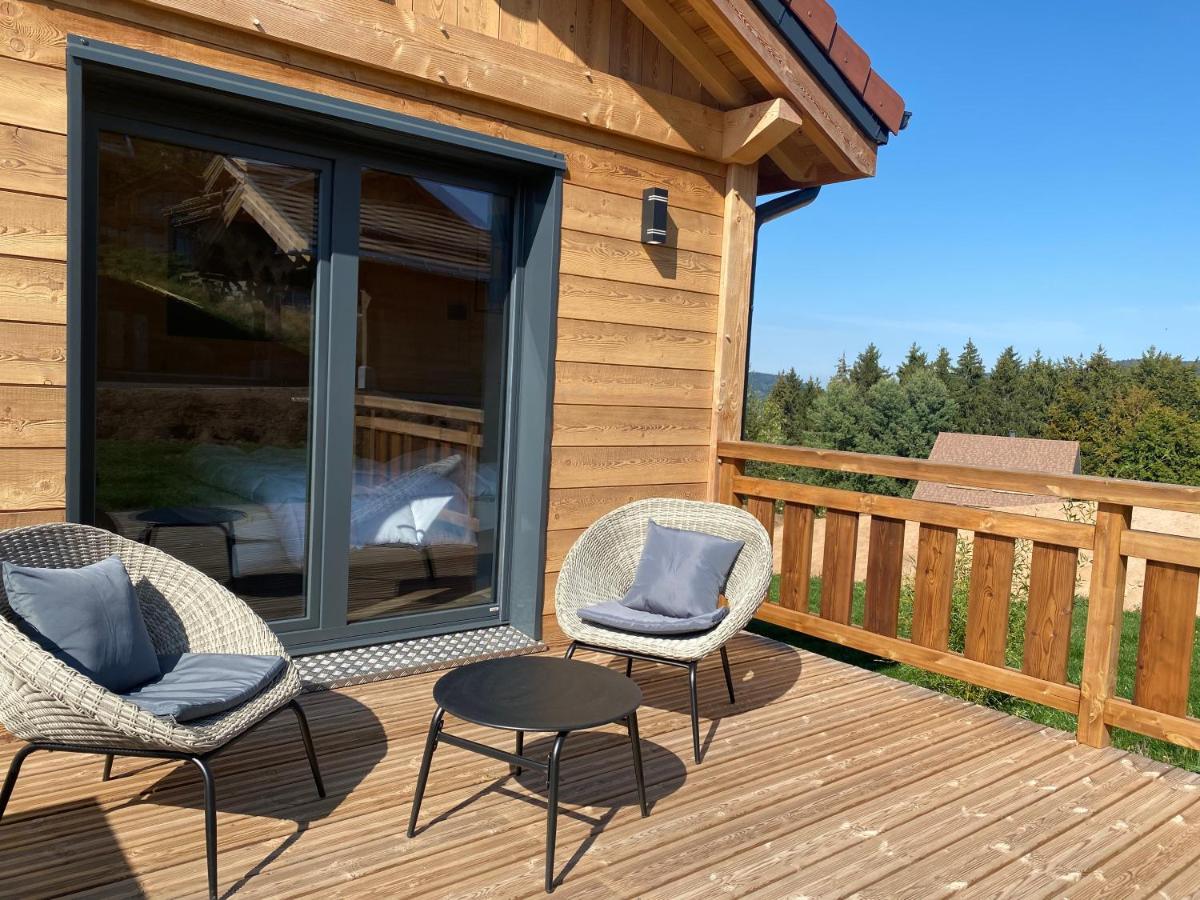 L'ADRET DU TEMPS CHALET 10 PERSONNES 170m2 Gerardmer Ngoại thất bức ảnh